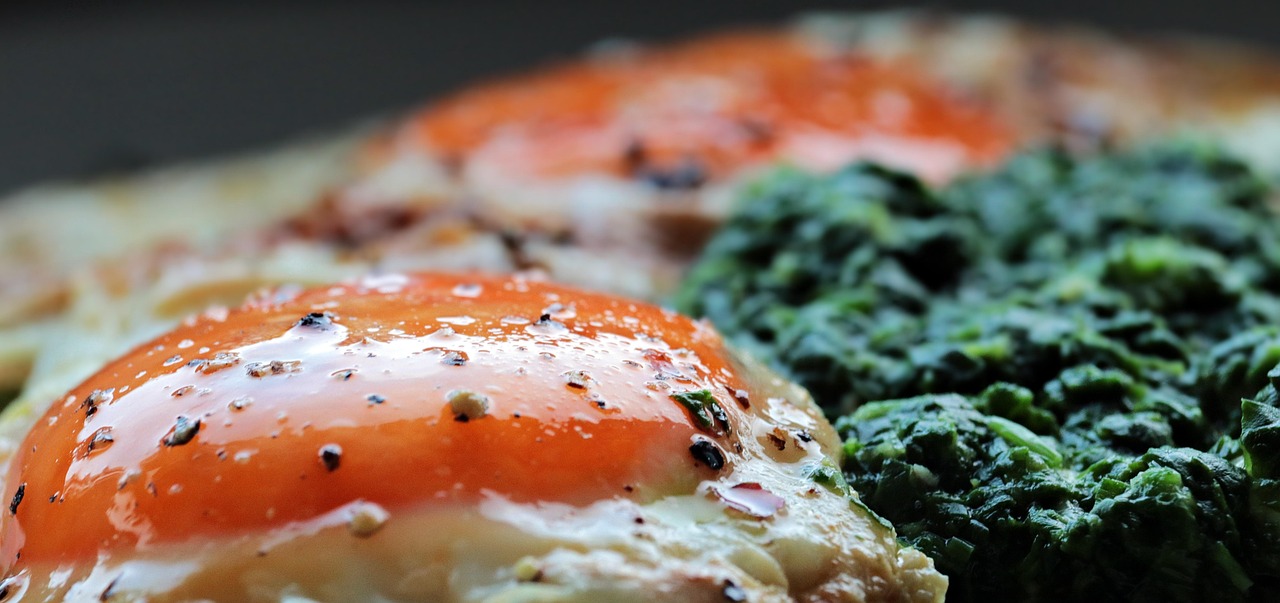 How Meal Ark Helps You Plan Like a Pro (Without Overthinking It)